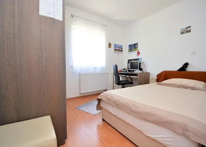 Miro 돈제페트레케인