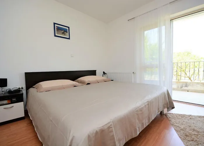 Miro 돈제페트레케인